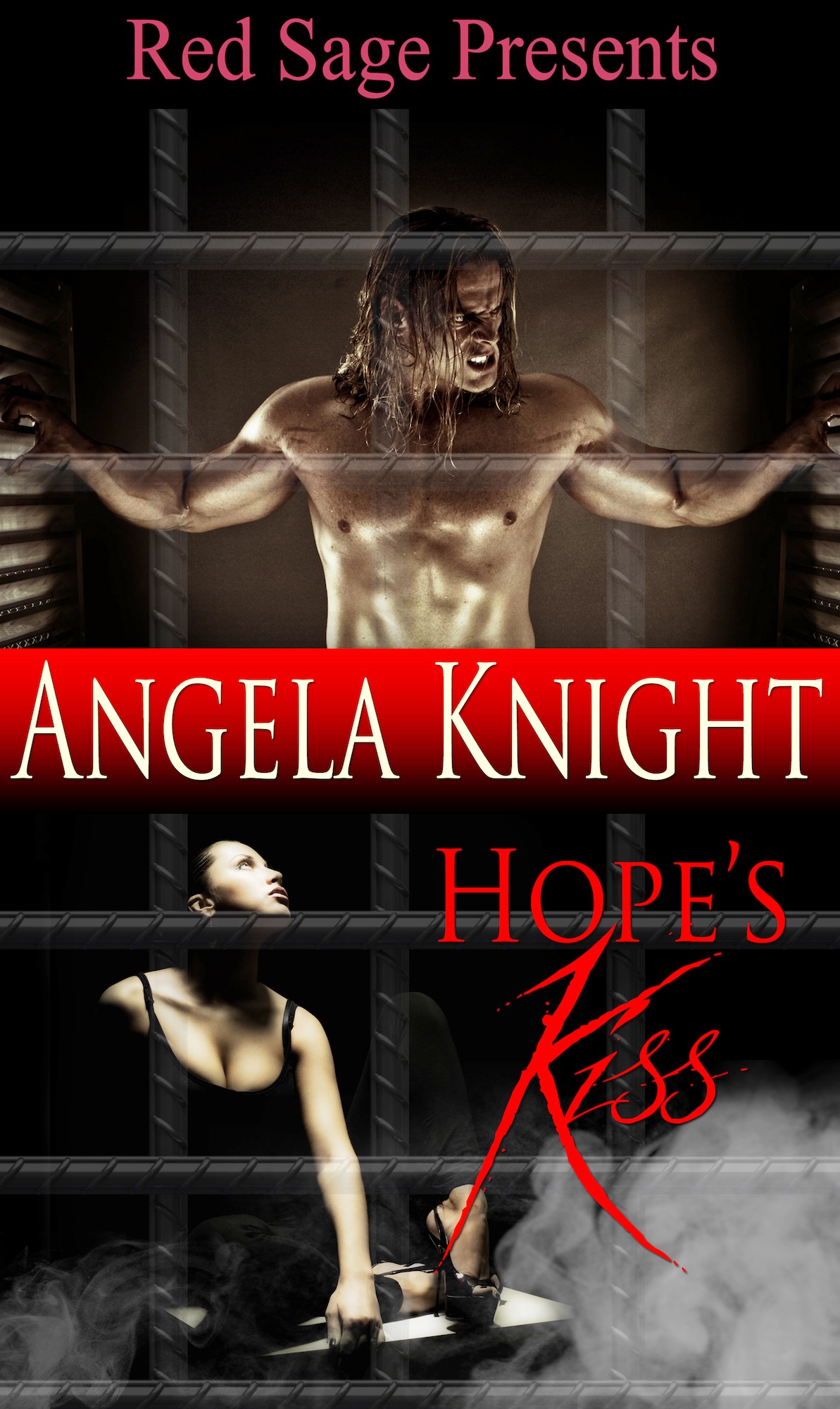 Cover image for Hope's Kiss